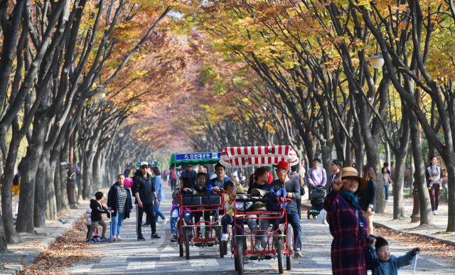 3일 오후 인천시 남동구 인천대공원에서 나들이객들이 아름드리 느티나무가 양쪽으로 펼쳐진 단풍터널을 산책하며 만추의 정취를 만끽하고 있다./인천=오승현기자 2019.11.03