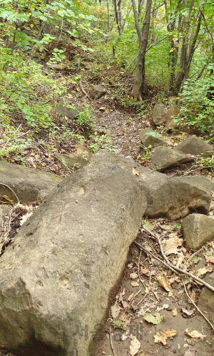 강원 고성 토성면 운봉산을 오르는 숲길 곳곳에는 육각기둥 모양의 돌이 놓여져 있다.