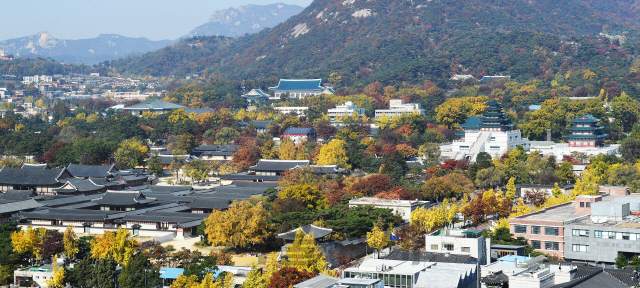 맑고 화창한 날씨를 보인 7일 오후 서울 종로구의 한 건물에서 바라본 경복궁 주변이 노란 은행잎과 빨간 단풍으로 물들어 있다./오승현기자 2019.11.07