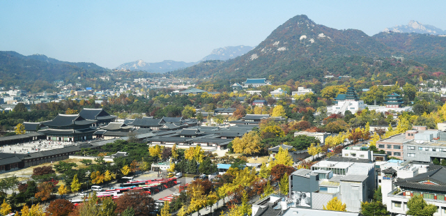 맑고 화창한 날씨를 보인 7일 오후 서울 종로구의 한 건물에서 바라본 경복궁 주변이 노란 은행잎과 빨간 단풍으로 물들어 있다./오승현기자 2019.11.07