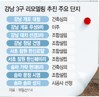 상한제지역 발표 당일 잠실엘스 전용 59㎡ 16.8억 신고가...누르면 더 튀는 시장