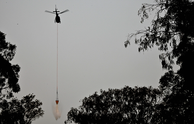 11일(현지시간) 호주 시드니에서 북쪽으로 350㎞ 떨어진 올드바 지역의 불을 끄기 위해 헬리콥터가 하늘에서 물을 떨어뜨리고 있다./AFP연합뉴스