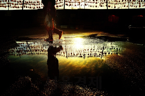 해군 바다사진 공모전에서 대상을 수상한 김택수씨의 작품 ‘건어장 아침’.