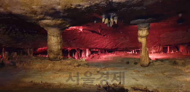 강원 동해 동굴로 천곡황금박쥐동굴 안에 있는 샘실신당.