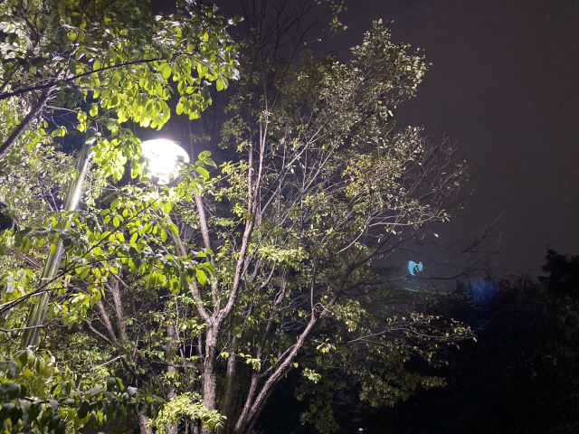 아이폰11 프로 카메라로 밤 시간대에 밝은 조명 부분을 찍으니 푸른색 잔상의 ‘고스트 현상’이 함께 촬영됐다./권경원기자