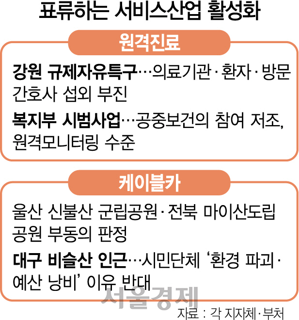 '원격의료 자유특구' 지정된 강원, 의협 거센 반발에 참여병원 1곳뿐