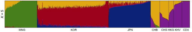 동북아시아인 어드믹스쳐 분석 결과