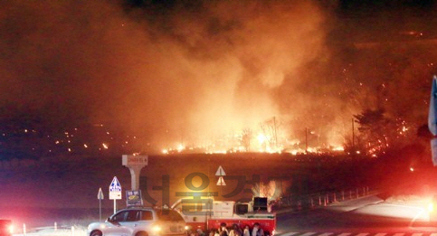 고성 산불 발생 당시 시민들이 확산하는 불길과 연기를 피해 차량 뒤에서 대피하고 있다./연합뉴스