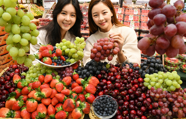 롯데마트 모델들이 26일 오전 서울 중구 롯데마트 서울역점에서 국산 딸기와 칠레산 블루베리 및 체리, 미국산 포도 등 제철을 맞은 과일들을 소개하고 있다. 롯데마트는 항공 직송, 산지 직송 등의 방법으로 과일의 신선함을 유지한다./오승현기자 2019.11.26