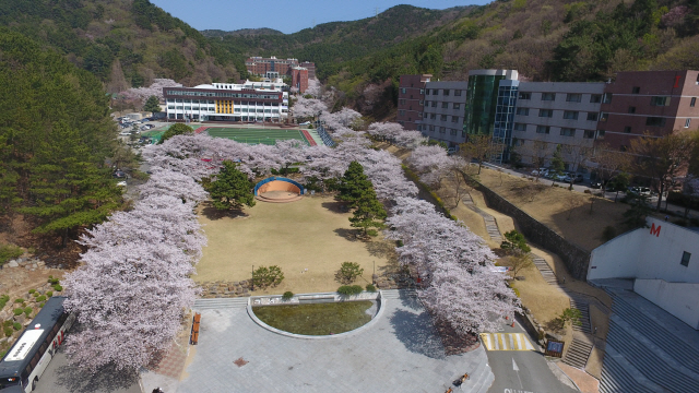 와이즈유가 영국의 글로벌 대학평가 기관인 QS의 ‘2020 세계대학평가’에서 부산·울산·경남 대학 가운데 10위에 올랐다. 와이즈유 해운대캠퍼스./사진제공=와이즈유