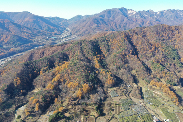 2019 숲가꾸기 최우수 사업장으로 선정된 문경시 문경읍 생활환경보전림. 사진제공=산림청