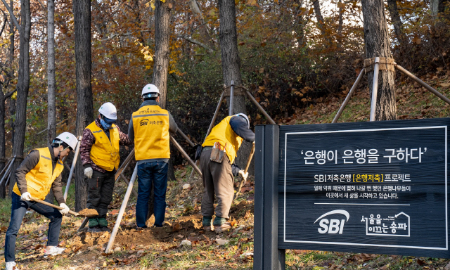 SBI저축銀, 사회공헌 캠페인 '암은행나무 이식사업' 진행