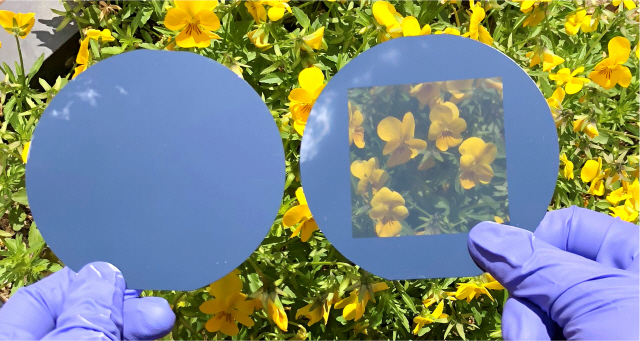 일반 결정질 실리콘 기판(왼쪽)과 투명 실리콘 기판 비교. /사진제공=UNIST