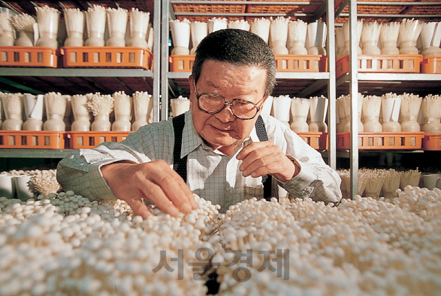 구자경 LG그룹 명예회장이 은퇴 후 버섯 재배를 연구하고 있다. /사진제공=LG