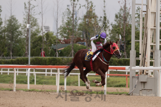 심장의고동     /사진제공=한국마사회