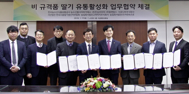 한국농수산식품유통공사(aT)가 지난 1월 한국수출딸기생산자연합회, 대형 프랜차이즈 음료업체와 비규격품 딸기 유통 활성화를 위한 업무협약을 맺고서 관계자들이 밝게 웃고 있다./사진제공=aT