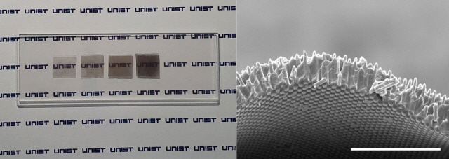 투명태양전지의 투명도를 조절한 사진(왼쪽)과 투명태양전지를 전자현미경으로 촬영한 모습. /사진제공=UNIST