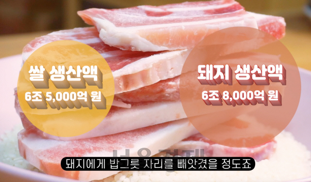 송년회 단골메뉴 '삼소·치맥'…환경파괴 주범이라고?[썸오리지널스]