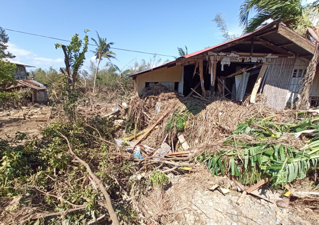 26일(현지시간) 태풍 판폰이 휩쓸고 간 필리핀 일로일로주 발라산 마을에서 무너진 주택 앞에 나무들이 쓰러져 있다. /일로일로=AP연합뉴스