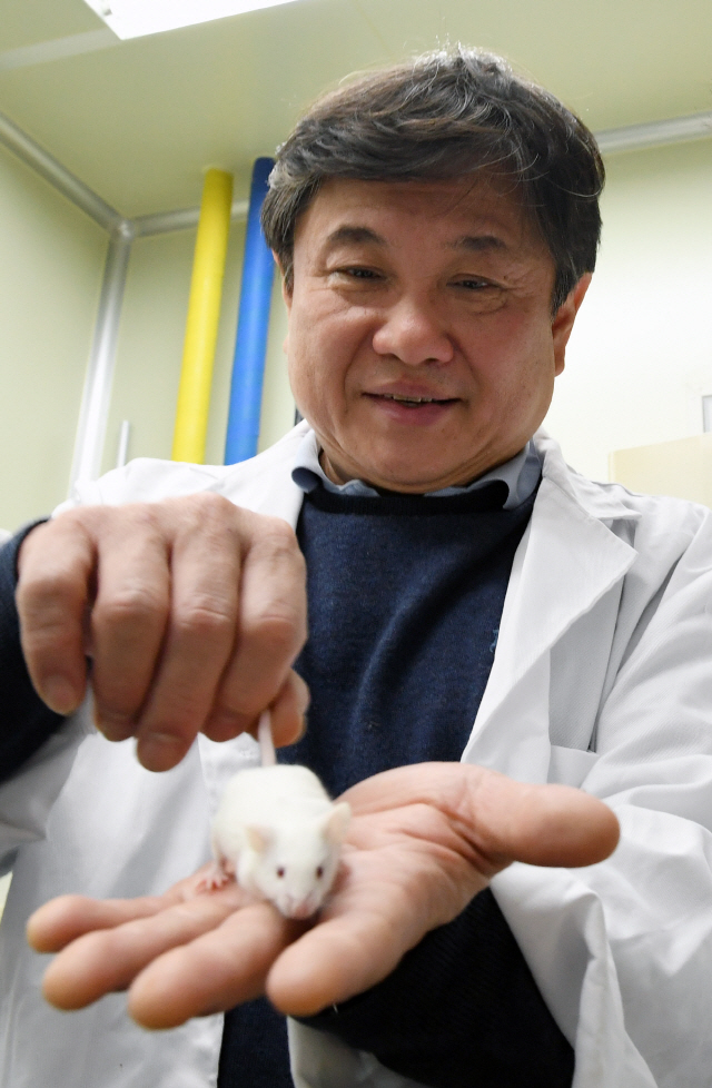'사람 살리는 실험용 쥐 덕에 인간 수명 획기적으로 늘어'