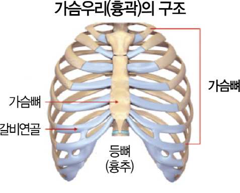 건보 적용 좌심실보조장치(LVAD)..심장이식 대기자의 생명줄 역할 '톡톡'