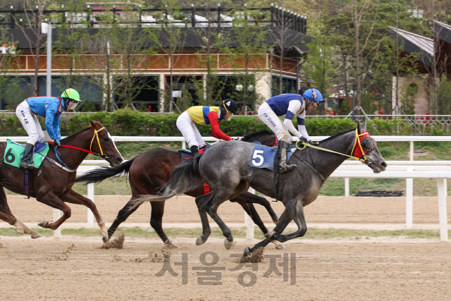 선두에서 질주하는 모르피스. /사진제공=한국마사회