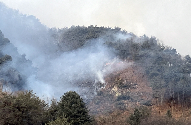 춘천 신북읍 야산서 불 / 연합뉴스