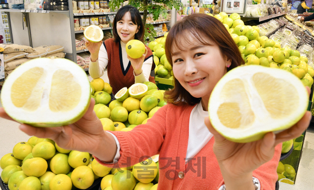 5일 오전 서울 성동구 이마트 성수점에서 모델들이 미국산 메로골드자몽의 할인행사를 홍보하고 있다. 이마트는 오는 8일까지 메로골드자몽 특대 사이즈를 개당 1,600원에 판매하는 등 기존 가격 대비 15%가량 저렴하게 판매한다./오승현기자 2020.01.05