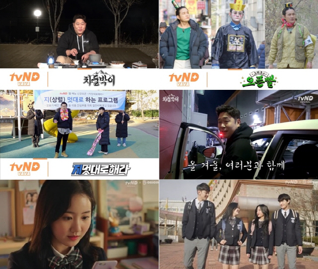 tvN D, 2020년 상반기 신규 오리지널 콘텐츠 라인업 전격 공개 '풍성'