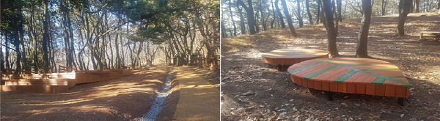 부산 백양산 선암사 주차장 뒤 임도변에 4,000㎡규모의 명상 숲이 조성됐다./사진제공=부산진구