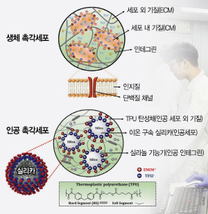 ‘이달의 과학기술인상’ 1월 수상자 김도환 한양대 화학공학과 교수