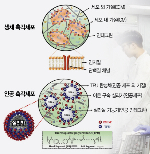 [사이언스]사람처럼 자극 감지 '전자 피부'…웨어러블 혁신에 기여