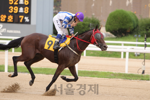 샴로커. /사진제공=한국마사회