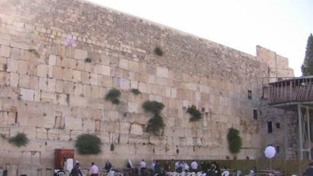 유대교 성지 예루살렘 ‘통곡의 벽’./연합뉴스