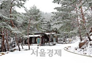 한방사우나를 즐길 수 있는 성주봉자연휴양림 설경./제공=경북도