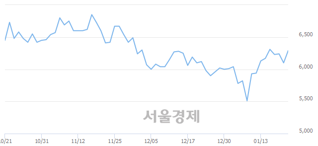 <유>용평리조트, 3.61% 오르며 체결강도 강세 지속(299%)