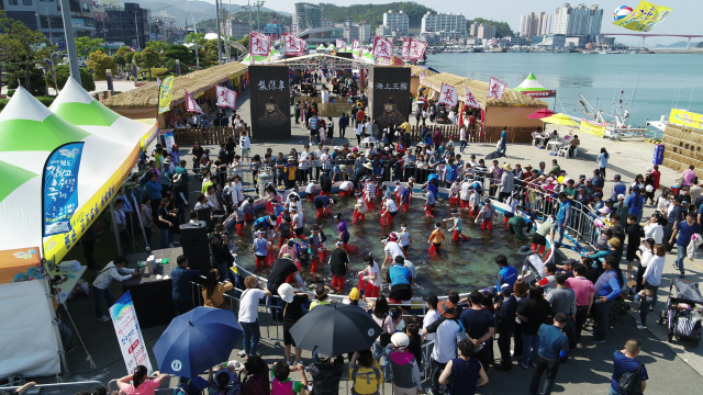 지난해 열린 완도 장보고수산물축제에 참여한 관광객들이 맨손으로 고기잡이 체험행사를 하고 있다. /사진제공=완도군