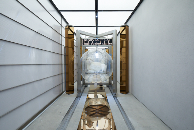 젠틀몬스터는 SKP-S 1층의 공용공간을 통해 열댓마리의 로봇 양이 반기는 미래의 농장을 구현해냈다.