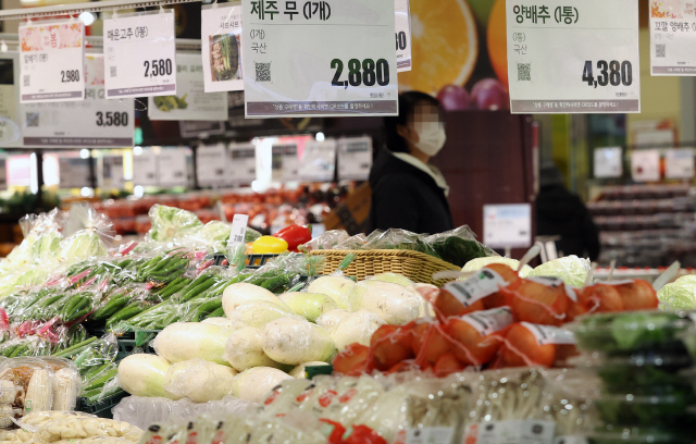 4일 오전 서울 시내 한 대형마트 채소코너에서 손님들이 쇼핑을 하고 있다. 1월 소비자물가지수는 105.79로 전년 동월 대비 1.5% 올랐다. /연합뉴스