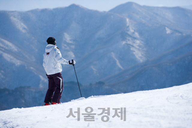 신종 코로나에…테마파크·스키장 썰렁, 지역축제는 취소·잠정 연기