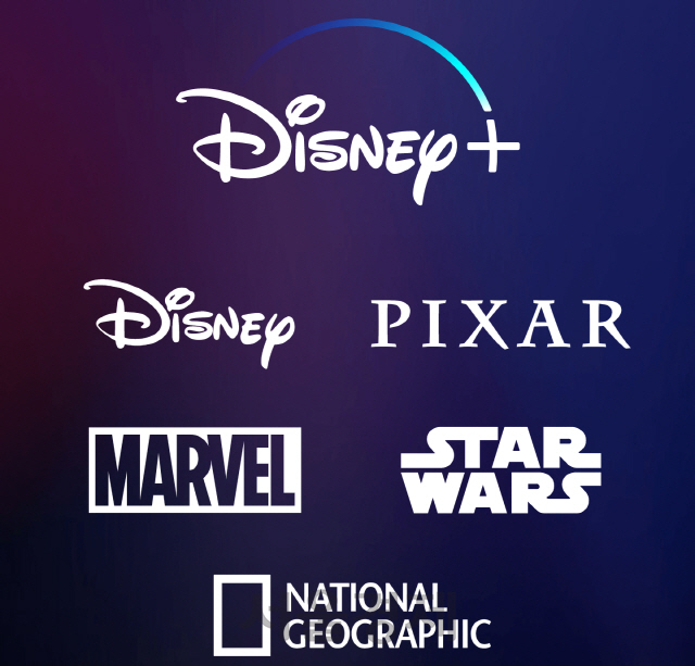 스타워즈·마블이 불러모은 3,000만명...넷플릭스 뺨치는 디즈니+