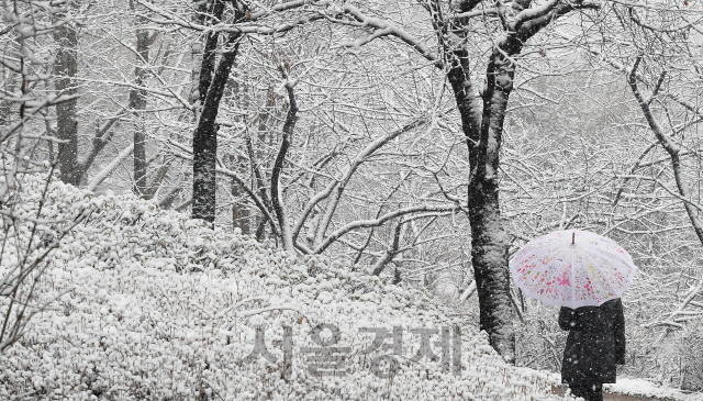 수도권 일부 지역에 대설주의보가 내려진 16일 오후 시민들이 눈이 소복이 쌓인 서울 용산구 남산둘레길을 산책하고 있다. 기상청은 17일 전날 내린 눈으로 인해 