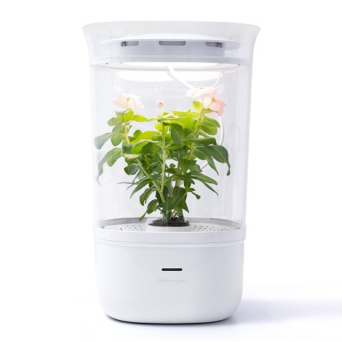 [토요워치] LED전등서 스마트화분까지...식물생장 돕는 아이템도 인기