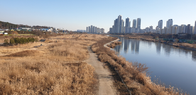 송도 달빛공원 전경. /사진제공=인천경제자유구역청