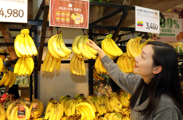 이마트 성수점 과일 매장에서 고객이 바나나를 구매하며 바나나 식초 만드는 법 레시피를 확인하고 있다./사진제공=이마트