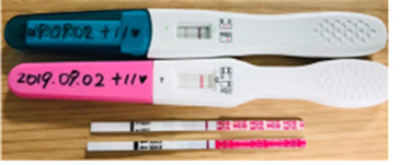 동일한 검출한계 제품이지만 다른 결과값을 보이는 임신테스트기.