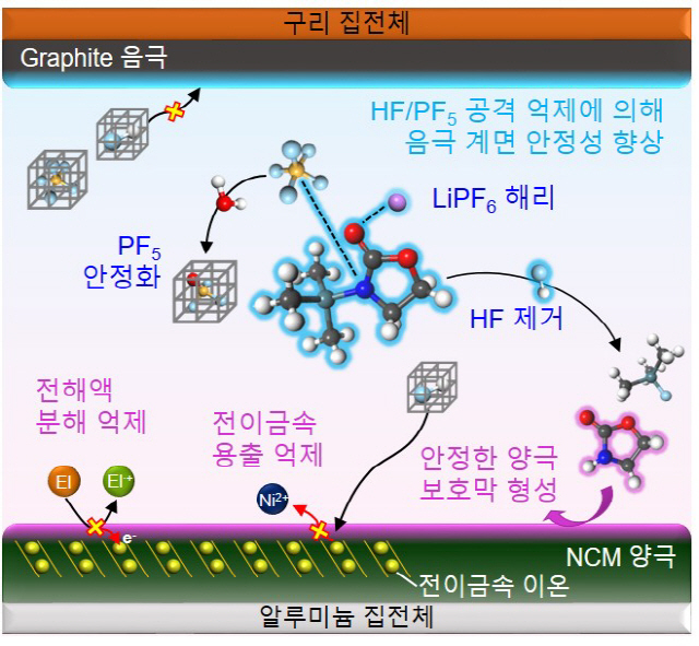 첨가제의 핵심 기능 모식도. /사진제공=UNIST