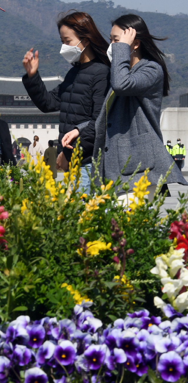 서울의 낮 기온이 17℃까지 오르는 등 포근한 봄 날씨를 보인 18일 시민들이 가벼운 옷차림으로 서울 광화문광장을 걷고 있다./오승현기자 2020.03.18