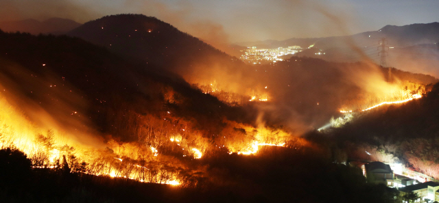 19일 오후 울산시 울주군 청량읍에서 산불이 강한 바람을 타고 번지고 있다. /울산=연합뉴스