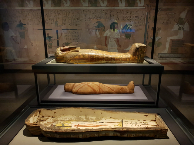 국립중앙박물관은 상설전시실 3층 세계문화관에 이집트실을 마련하고 토티르데스의 관과 미라(가운데) 등 94점의 유물을 전시하고 있다. /조상인기자